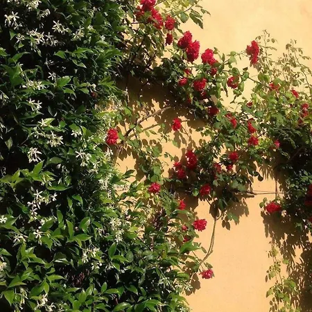 Giardinetto ホテル